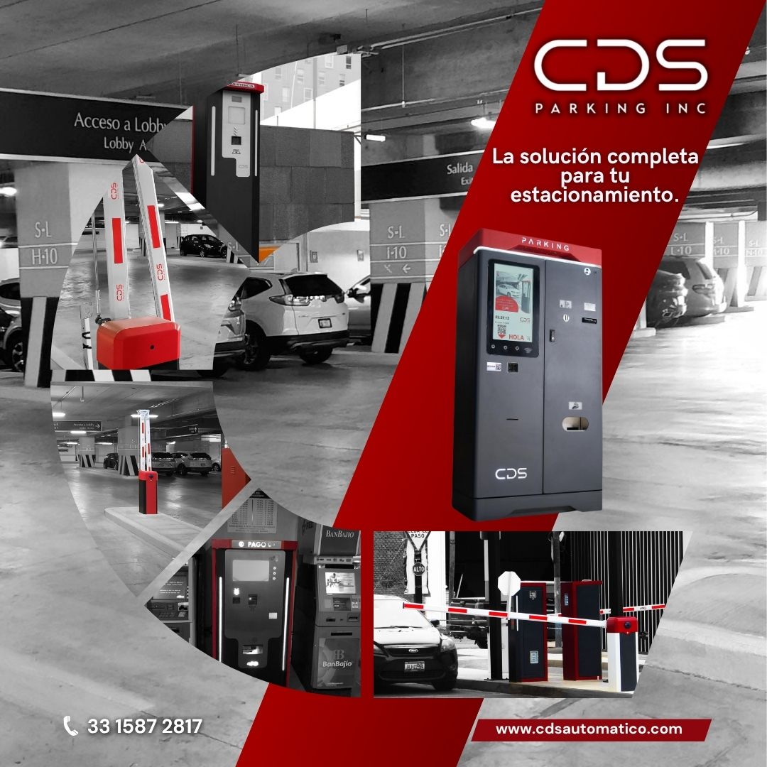 Equipo de CDS trabajando